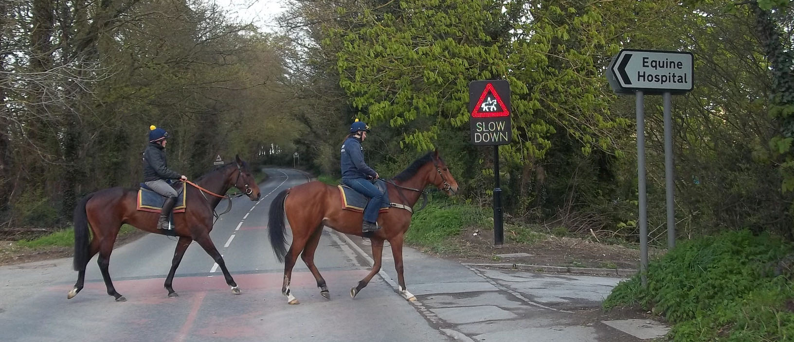 Equine Safety Crossing