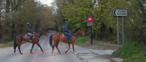 ZF EH Equine Safety Crossing_1